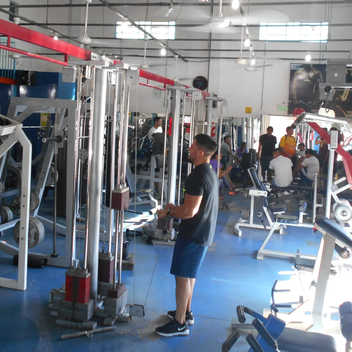Estudiantes entrenando en el gimnasio del instituto